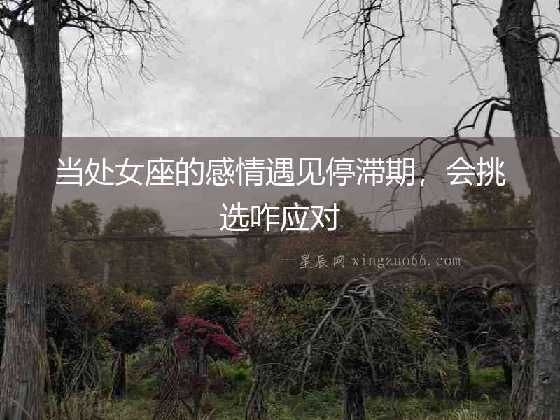 當處女座的感情遇見停滯期，會挑選咋應(yīng)對