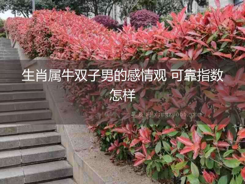 生肖屬牛雙子男的感情觀 可靠指數怎樣