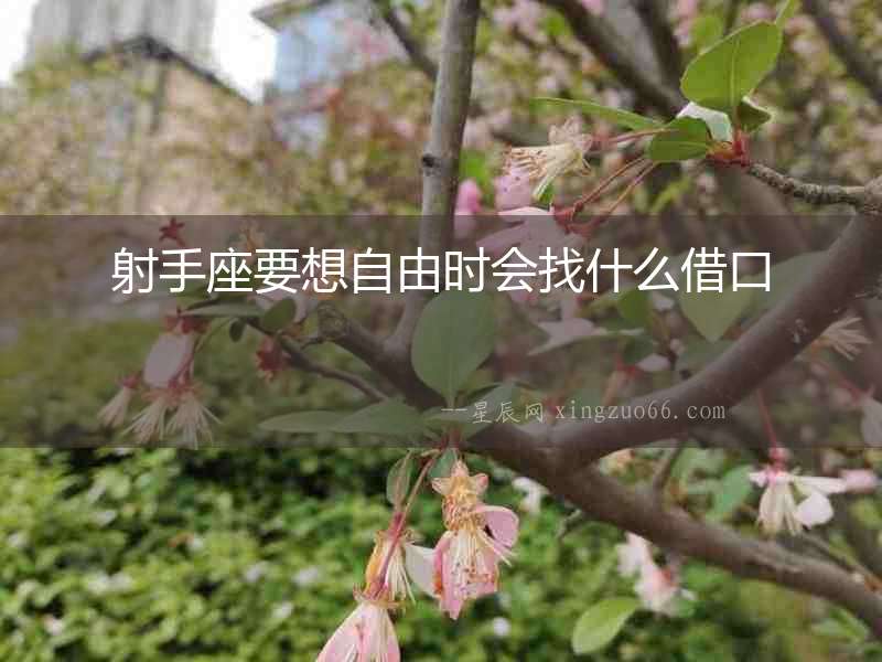 射手座要想自由時(shí)會(huì)找什么借口
