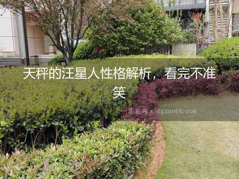 天秤的汪星人性格解析，看完不準笑