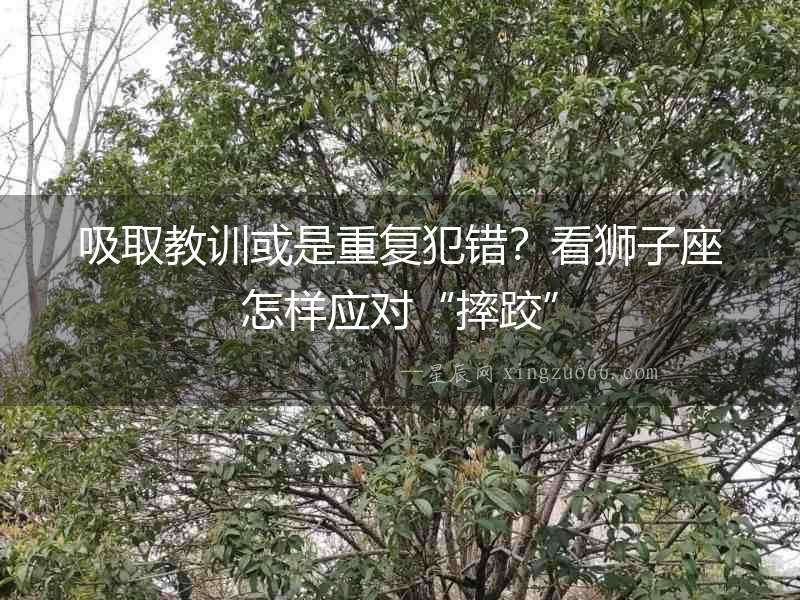 吸取教訓或是重復犯錯？看獅子座怎樣應對“摔跤”