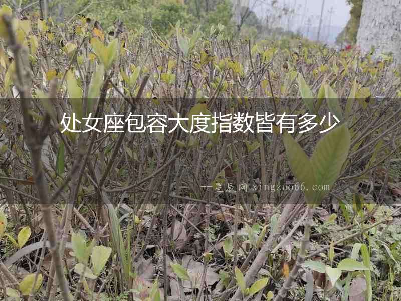 處女座包容大度指數皆有多少