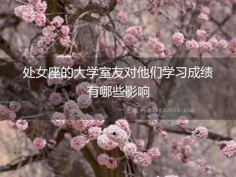 處女座的大學(xué)室友對(duì)他們學(xué)習(xí)成績(jī)有哪些影響