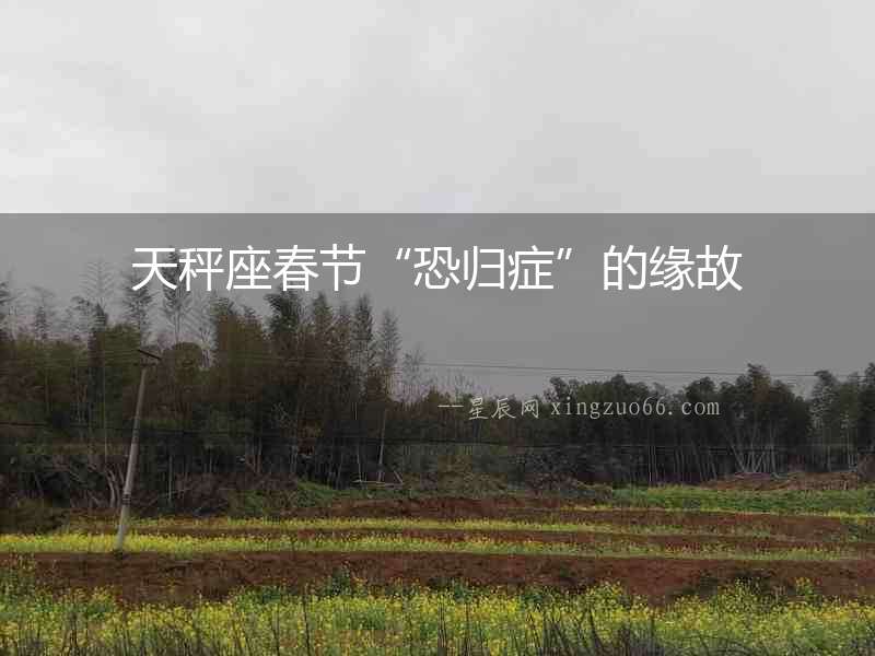 天秤座春節“恐歸癥”的緣故