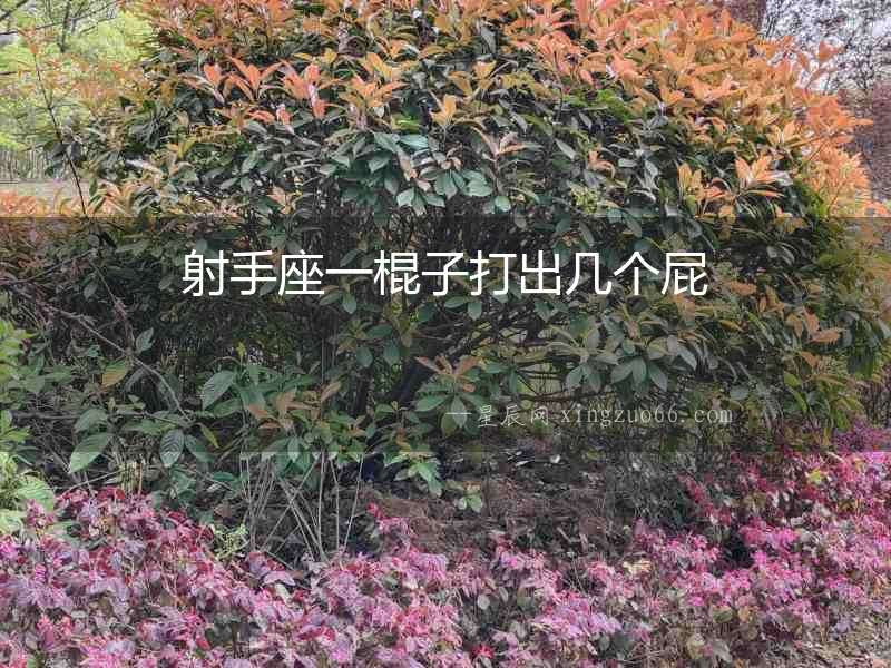 射手座一棍子打出幾個屁