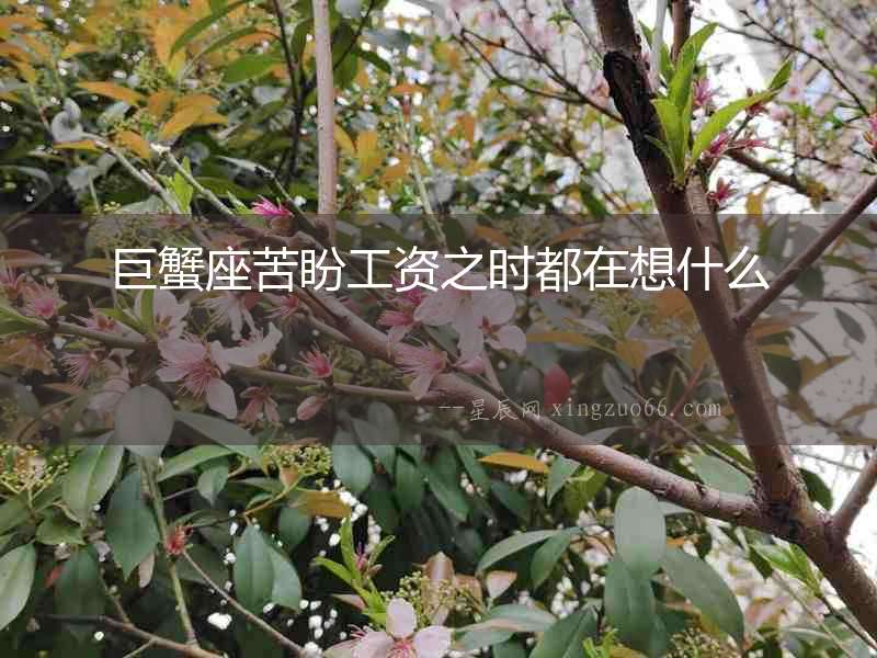 巨蟹座苦盼工資之時都在想什么
