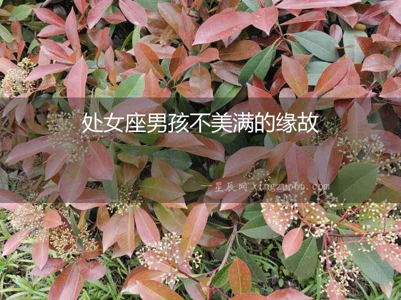處女座男孩不美滿的緣故