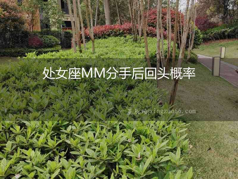 處女座MM分手后回頭概率
