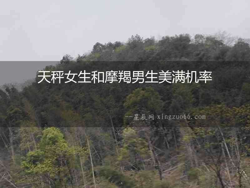 天秤女生和摩羯男生美滿機率