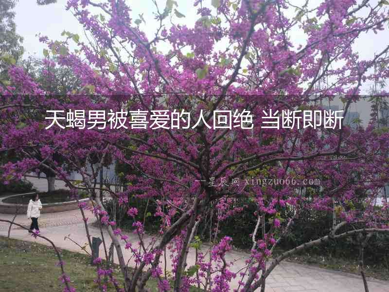 天蝎男被喜愛的人回絕 當(dāng)斷即斷
