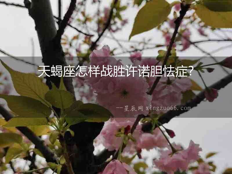 天蝎座怎樣戰勝許諾膽怯癥？