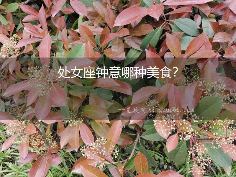 處女座鐘意哪種美食？