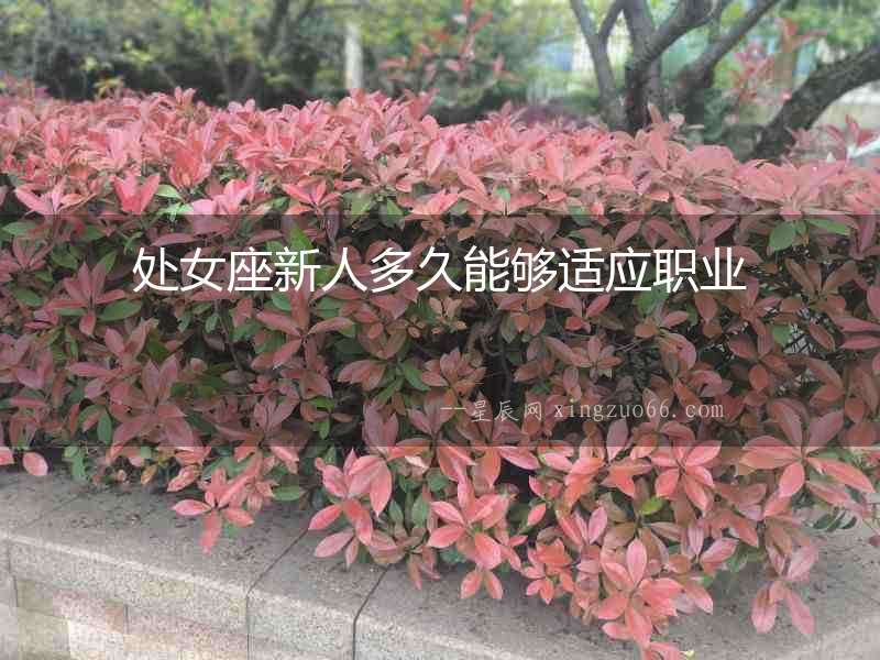 處女座新人多久能夠適應職業