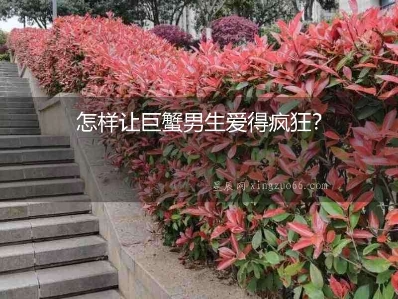 怎樣讓巨蟹男生愛得瘋狂？
