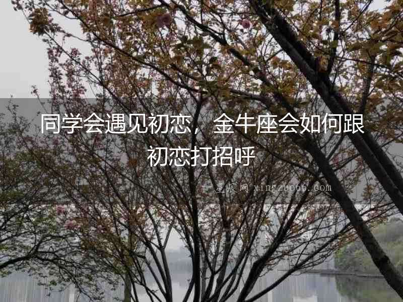 同學會遇見初戀，金牛座會如何跟初戀打招呼