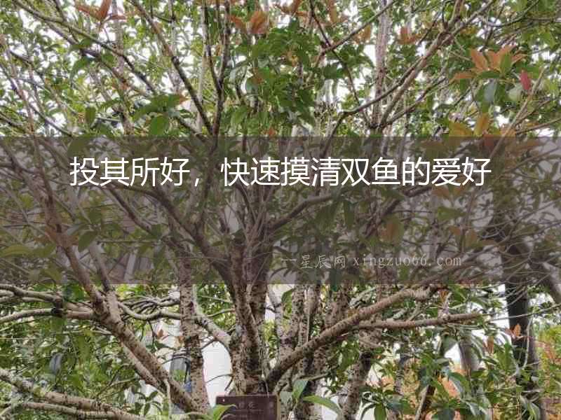 投其所好，快速摸清雙魚的愛好