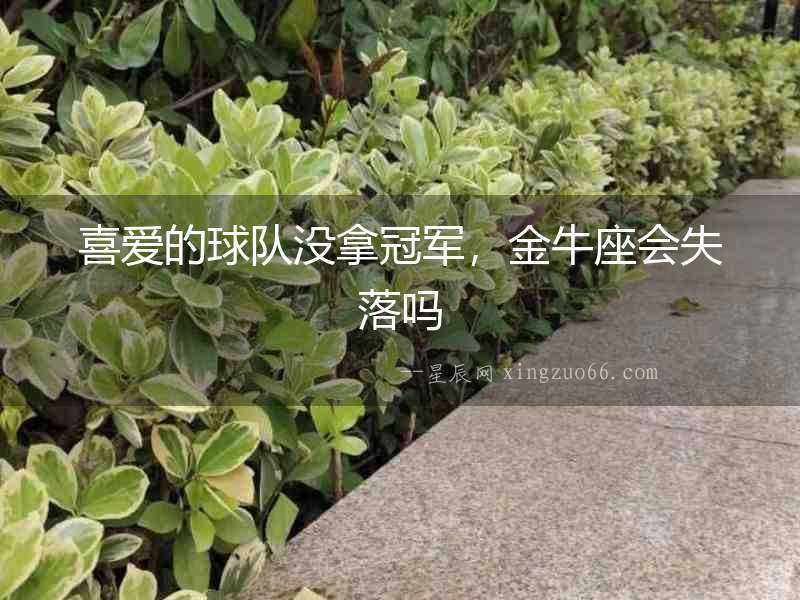 喜愛的球隊沒拿冠軍，金牛座會失落嗎
