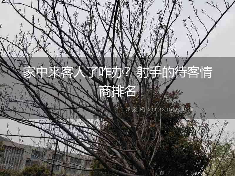 家中來客人了咋辦？射手的待客情商排名