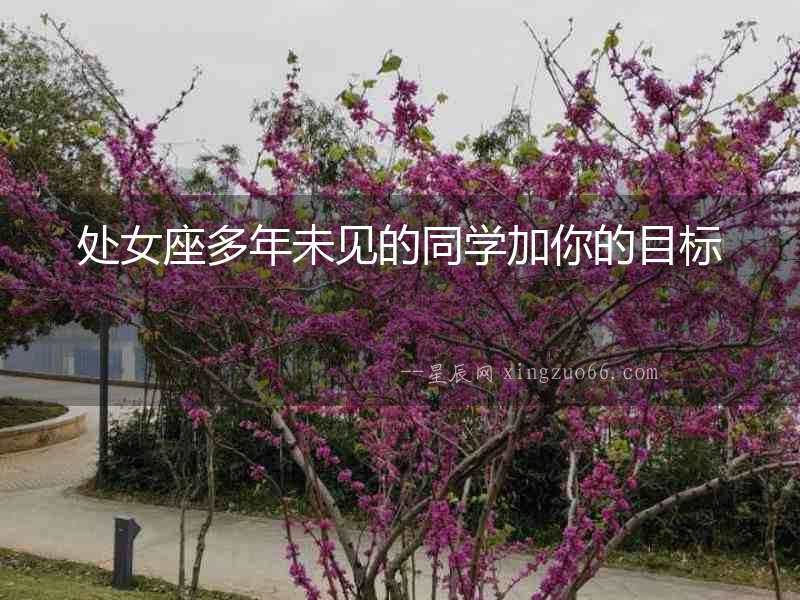 處女座多年未見的同學加你的目標