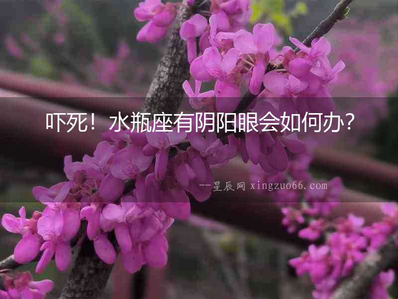嚇?biāo)溃∷孔嘘庩栄蹠绾无k？