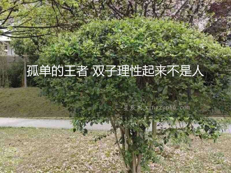 孤單的王者 雙子理性起來不是人