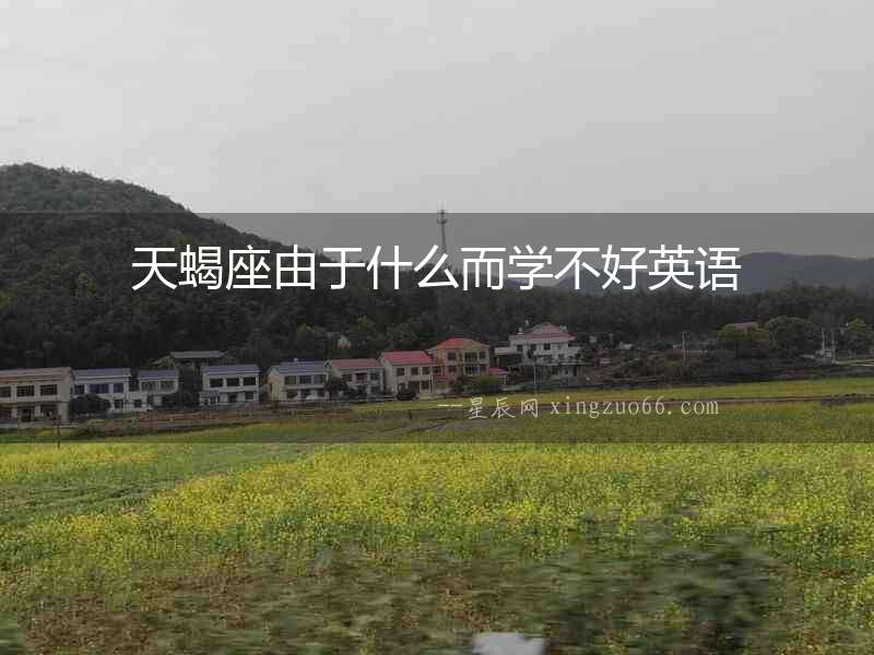 天蝎座由于什么而學不好英語
