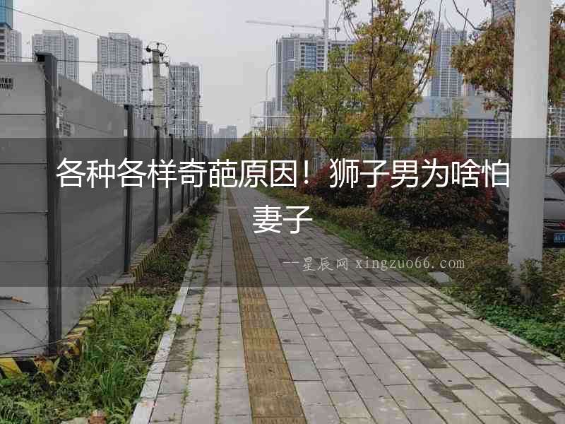 各種各樣奇葩原因！獅子男為啥怕妻子