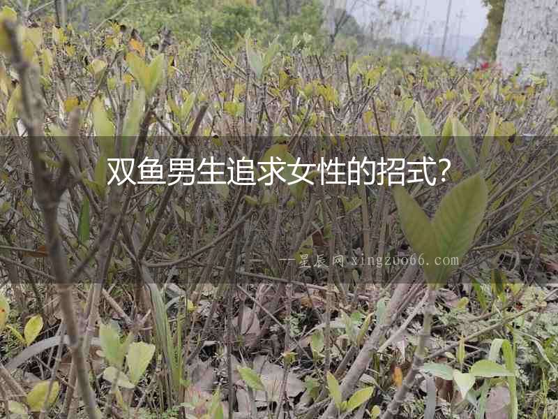 雙魚男生追求女性的招式？