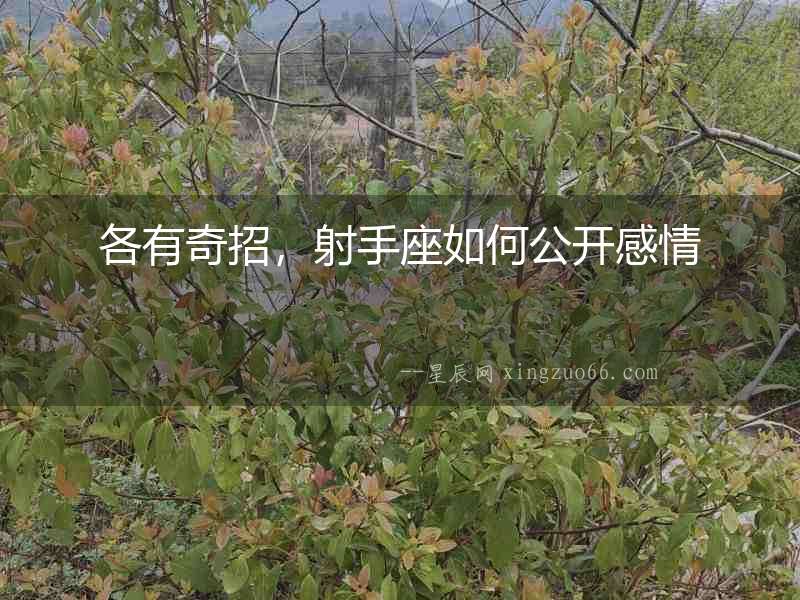 各有奇招，射手座如何公開感情