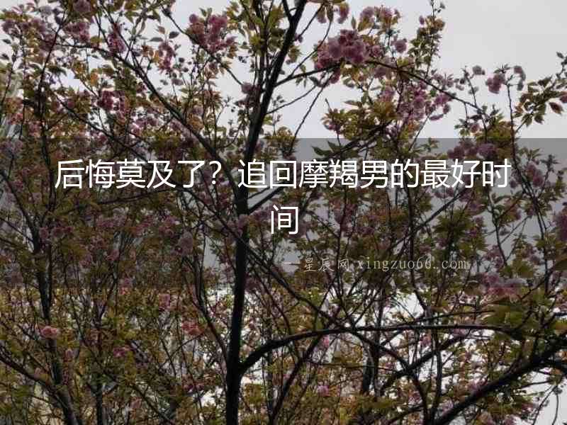 后悔莫及了？追回摩羯男的最好時間