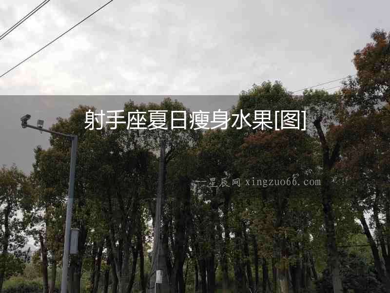 射手座夏日瘦身水果[圖]