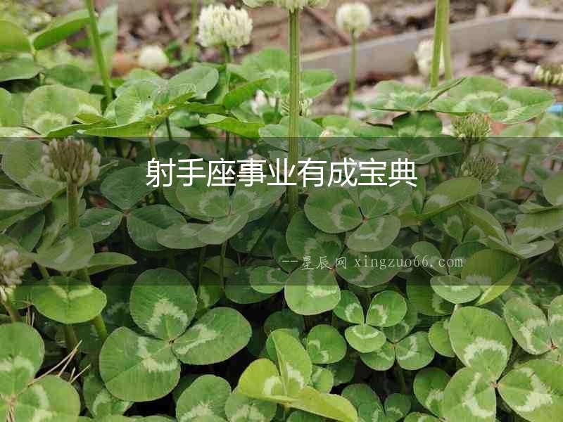 射手座事業(yè)有成寶典
