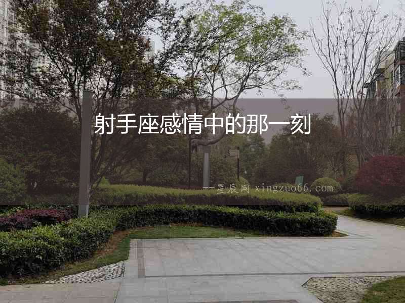 射手座感情中的那一刻