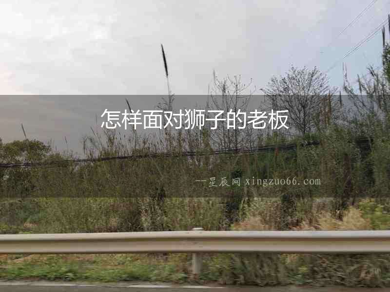 怎樣面對獅子的老板