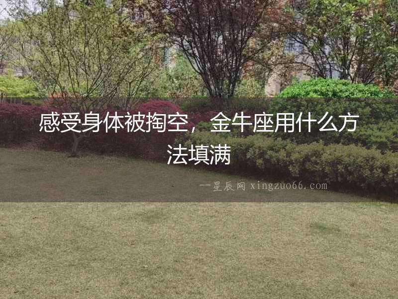 感受身體被掏空，金牛座用什么方法填滿