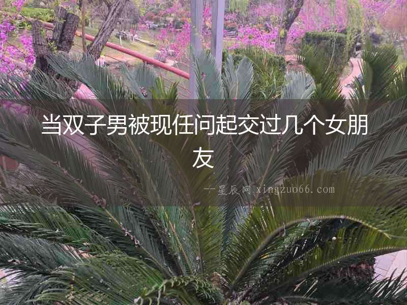 當雙子男被現任問起交過幾個女朋友