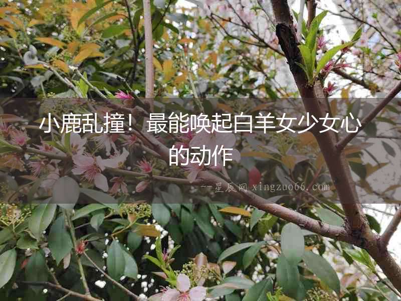 小鹿亂撞！最能喚起白羊女少女心的動(dòng)作