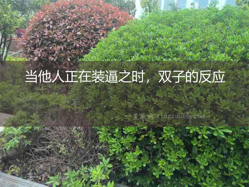 當他人正在裝逼之時，雙子的反應