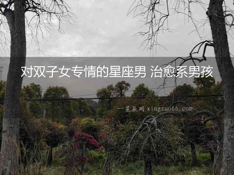對雙子女專情的星座男 治愈系男孩