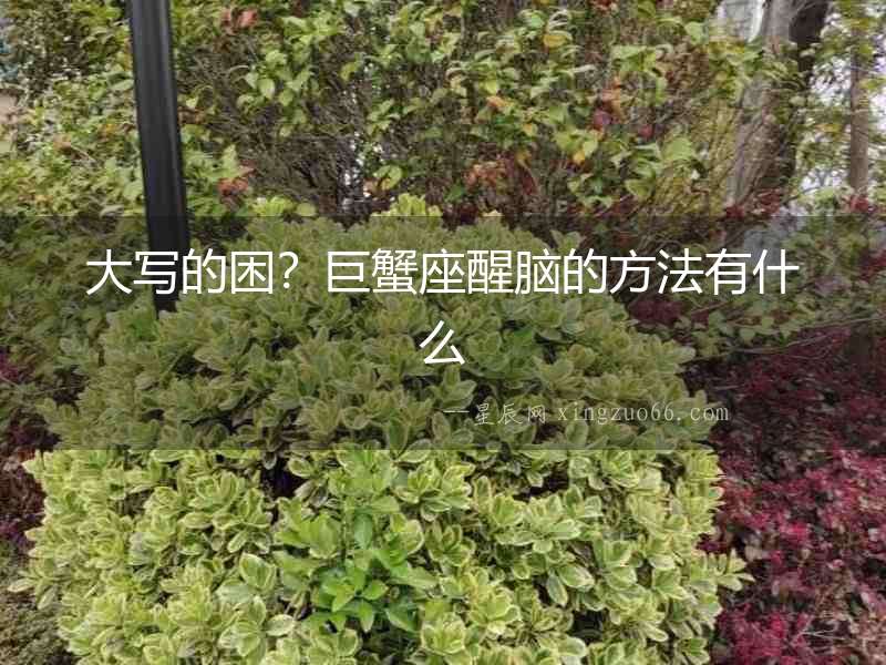 大寫的困？巨蟹座醒腦的方法有什么