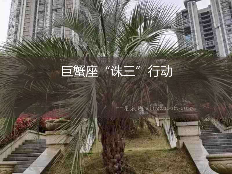 巨蟹座“誅三”行動