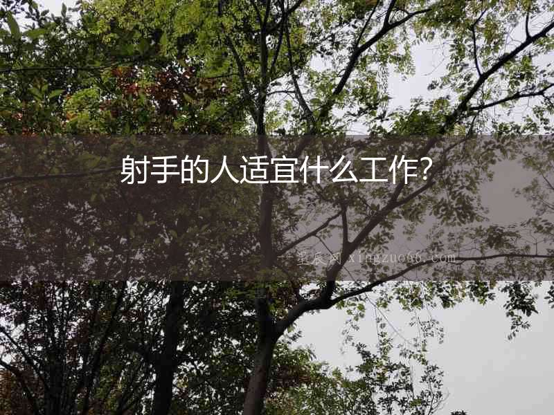 射手的人適宜什么工作？