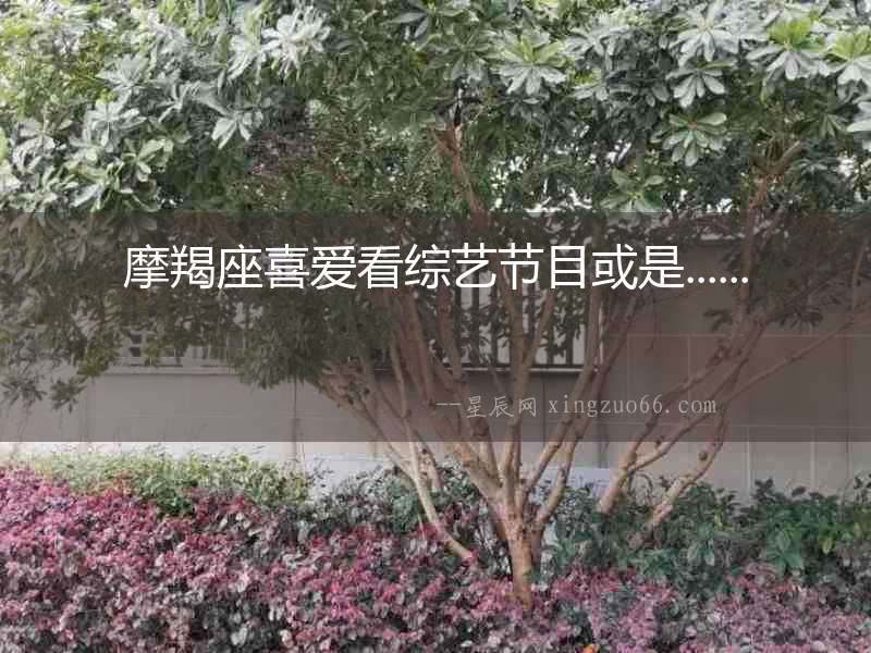 摩羯座喜愛看綜藝節(jié)目或是......