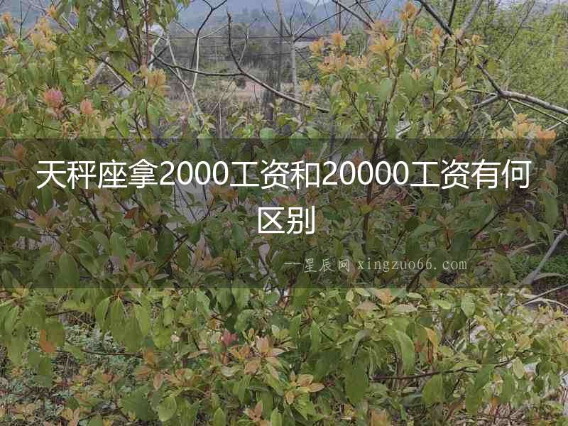 天秤座拿2000工資和20000工資有何區別