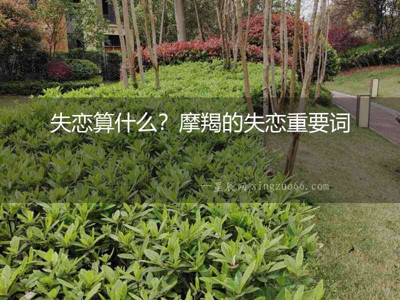 失戀算什么？摩羯的失戀重要詞