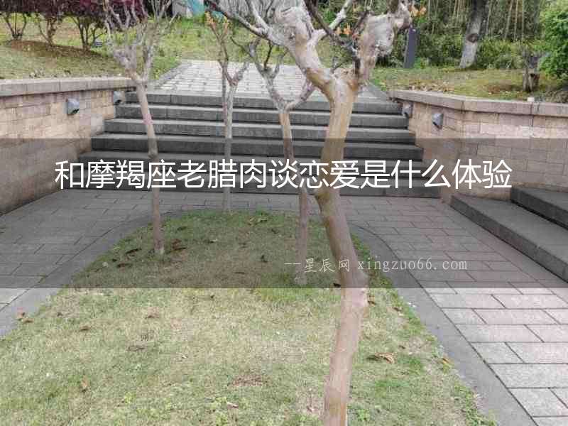 和摩羯座老臘肉談戀愛是什么體驗