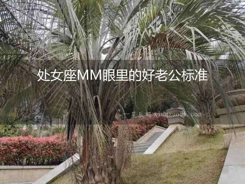 處女座MM眼里的好老公標準