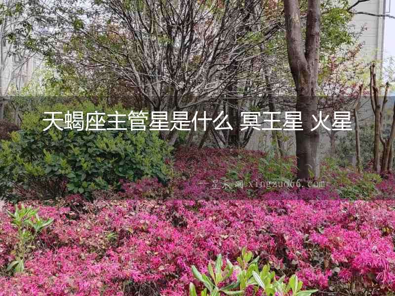 天蝎座主管星是什么 冥王星 火星