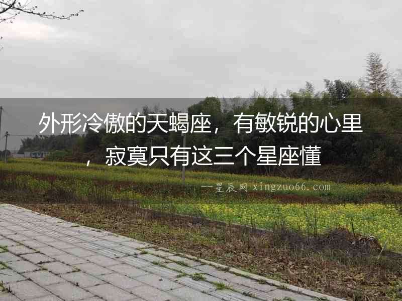 外形冷傲的天蝎座，有敏銳的心里，寂寞只有這三個星座懂