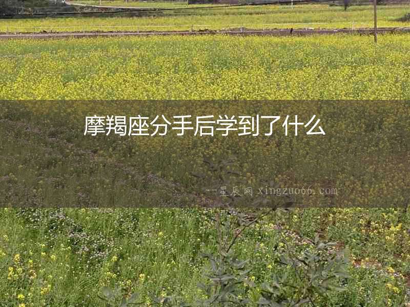 摩羯座分手后學到了什么